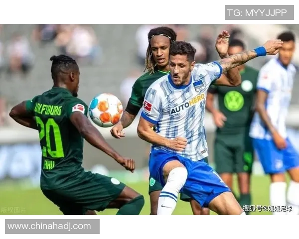 霍芬海姆主场连胜门兴格拉德巴赫，冲上德甲积分榜前列