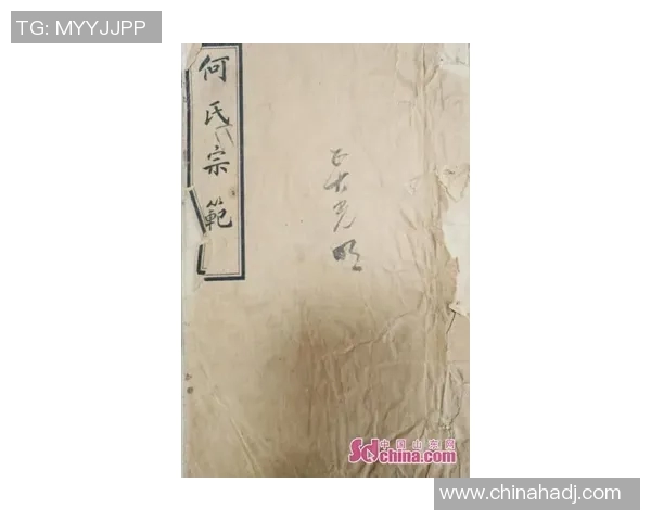 探索洪氏太极拳的历史渊源与现代传承之道